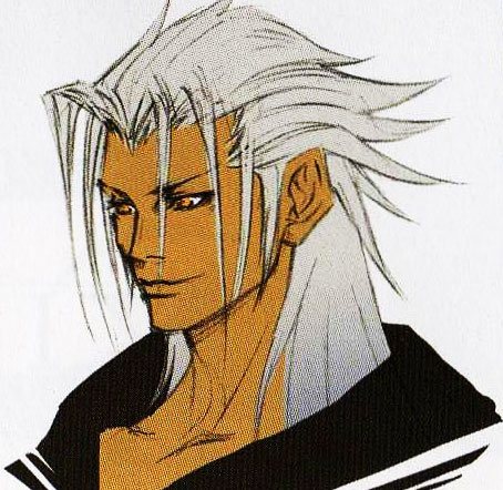 xemnas.jpg